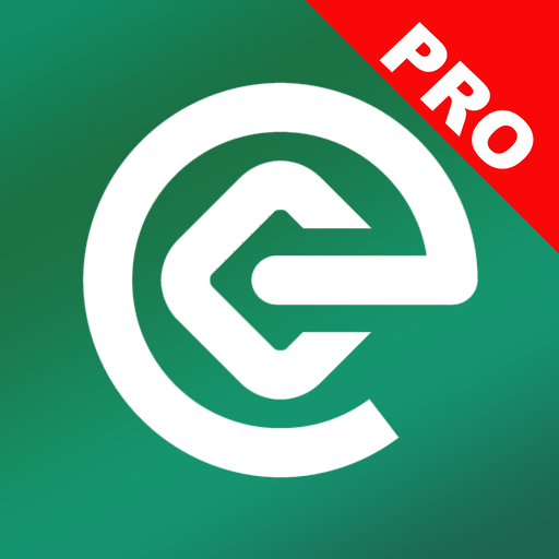 DineroAlVuelo 应用图标