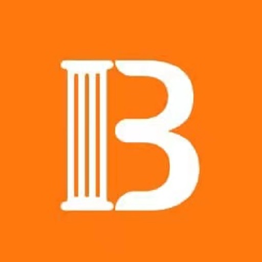 Bora Credit 应用图标