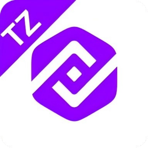 PalmPay TZ 应用图标
